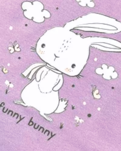 یاسی طرح فانی بانی